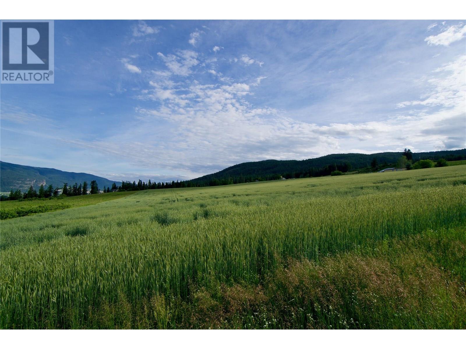 000 Hallam Road, Armstrong, British Columbia  V0E 1B0 - Photo 30 - 10351649