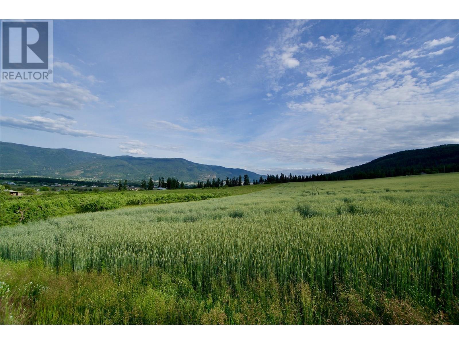 000 Hallam Road, Armstrong, British Columbia  V0E 1B0 - Photo 5 - 10351649