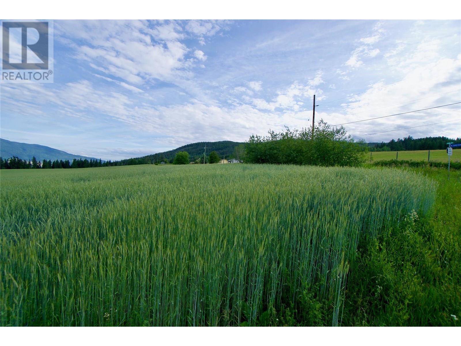 000 Hallam Road, Armstrong, British Columbia  V0E 1B0 - Photo 26 - 10351649