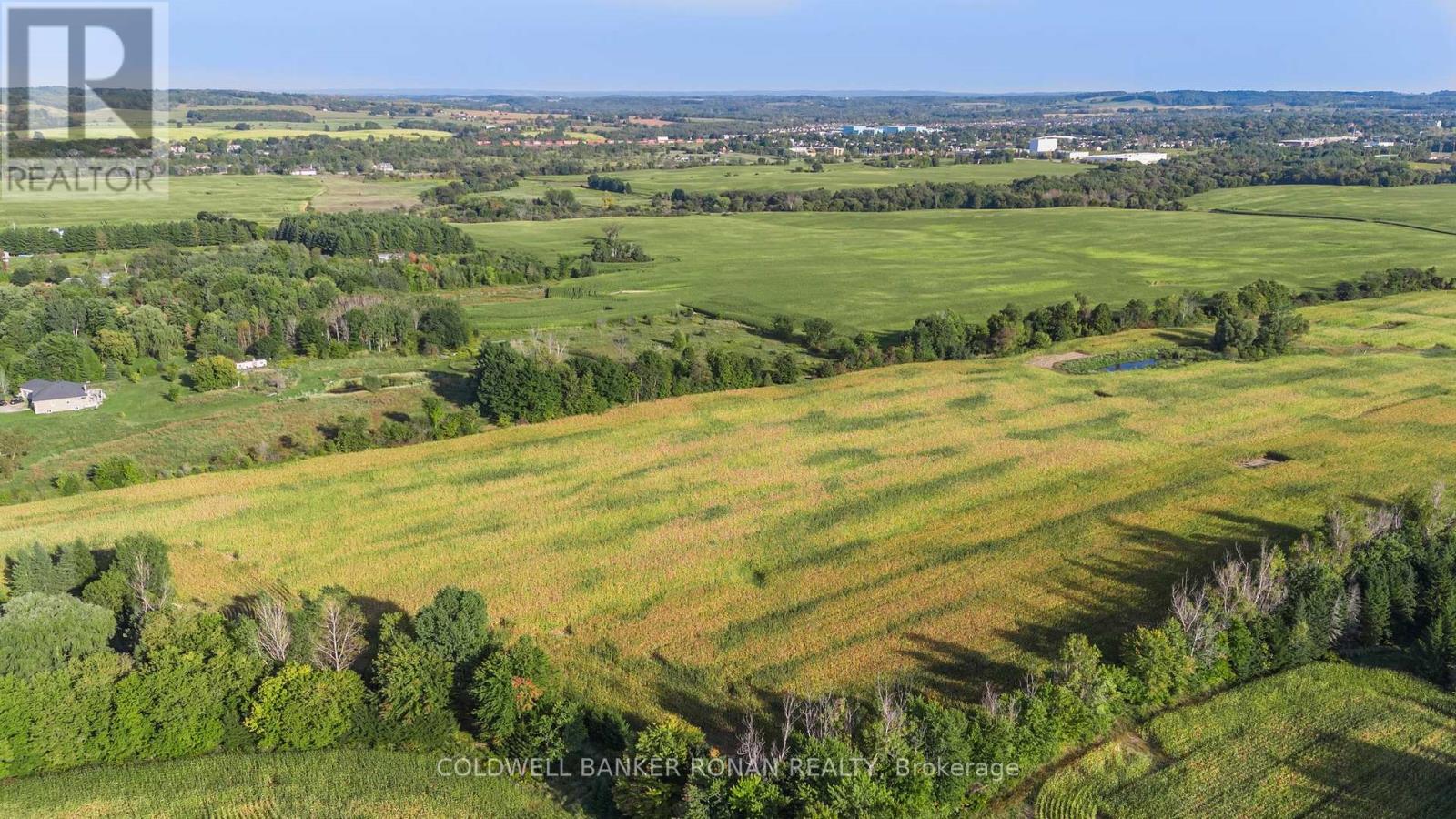 7020 6th Line, New Tecumseth (Tottenham), Ontario  L0G 1W0 - Photo 36 - N12212770