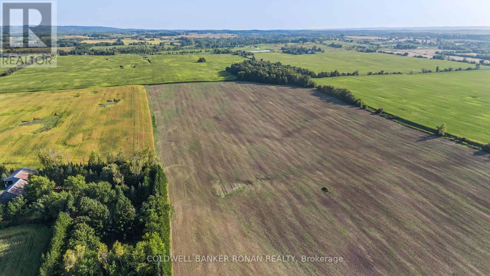 7020 6th Line, New Tecumseth (Tottenham), Ontario  L0G 1W0 - Photo 37 - N12212770