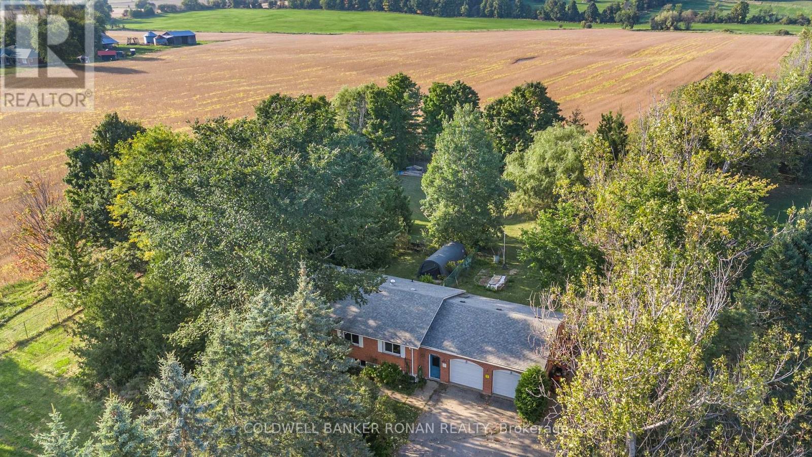7020 6th Line, New Tecumseth (Tottenham), Ontario  L0G 1W0 - Photo 40 - N12212770