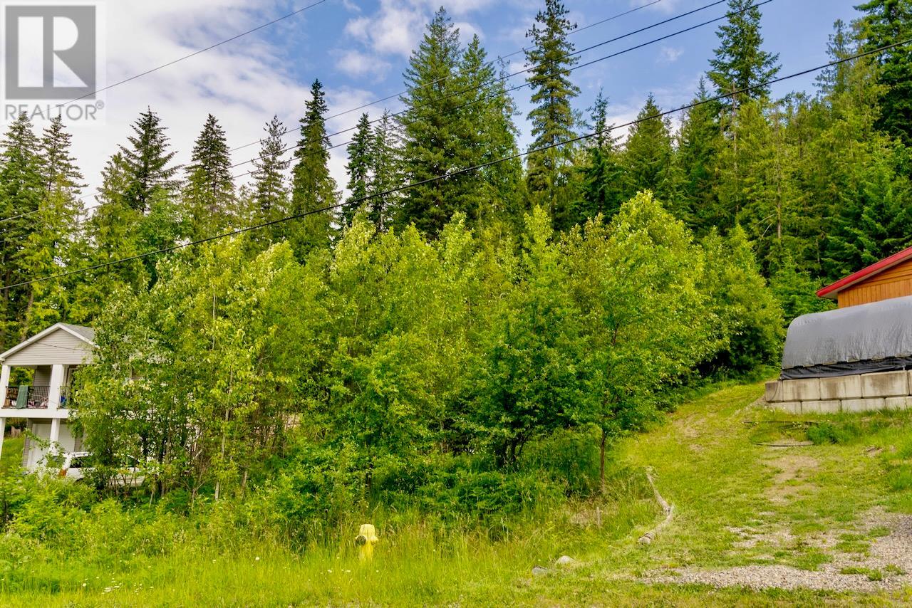 2747 Fairview Road Lot# 366, Anglemont, British Columbia  V0E 1M8 - Photo 3 - 10351575
