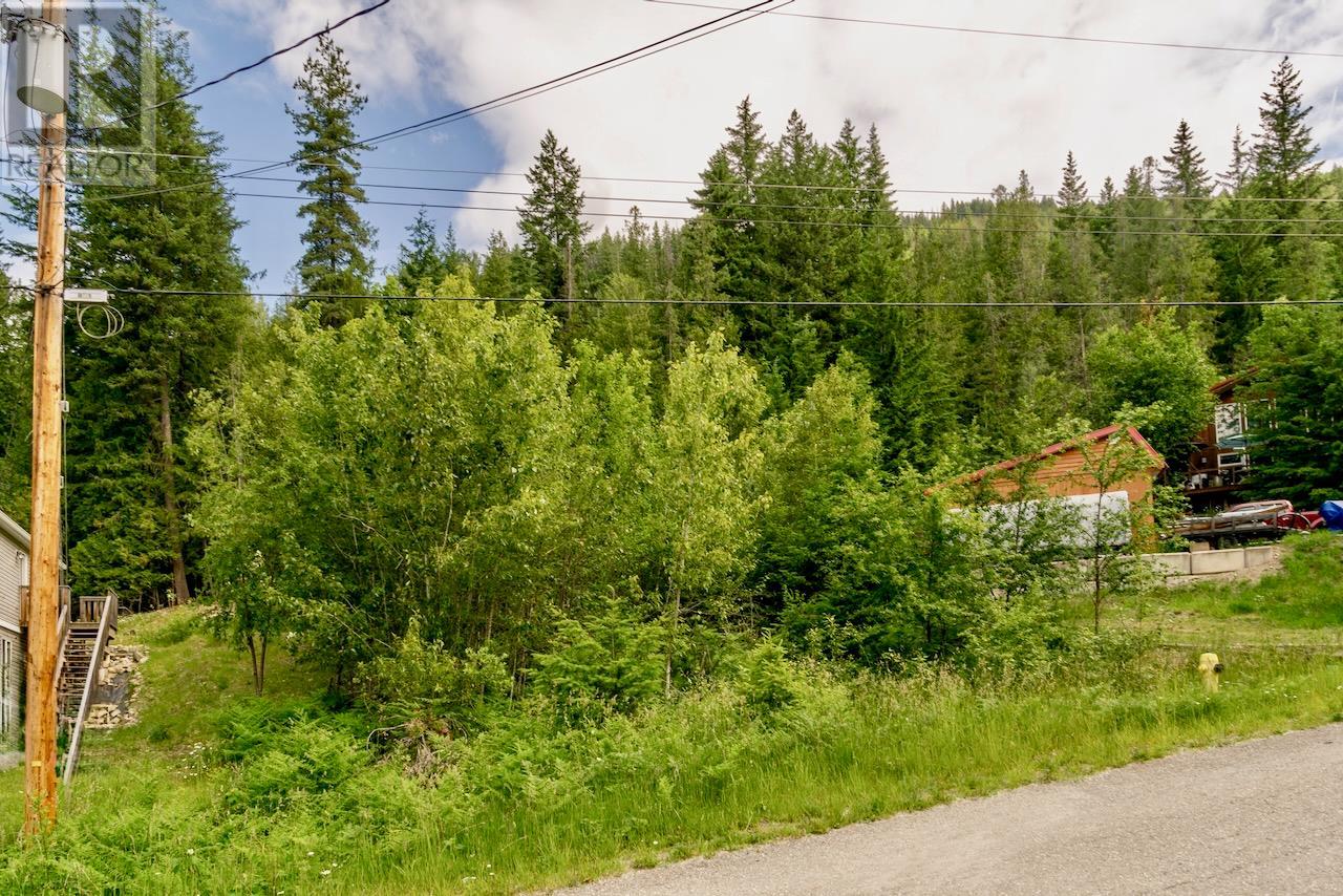 2747 Fairview Road Lot# 366, Anglemont, British Columbia  V0E 1M8 - Photo 2 - 10351575