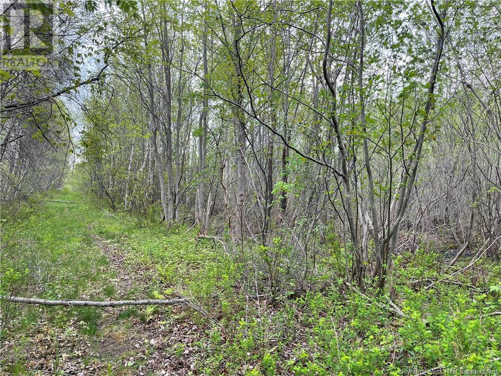 Lot Doiron, Grande-Digue, New Brunswick
