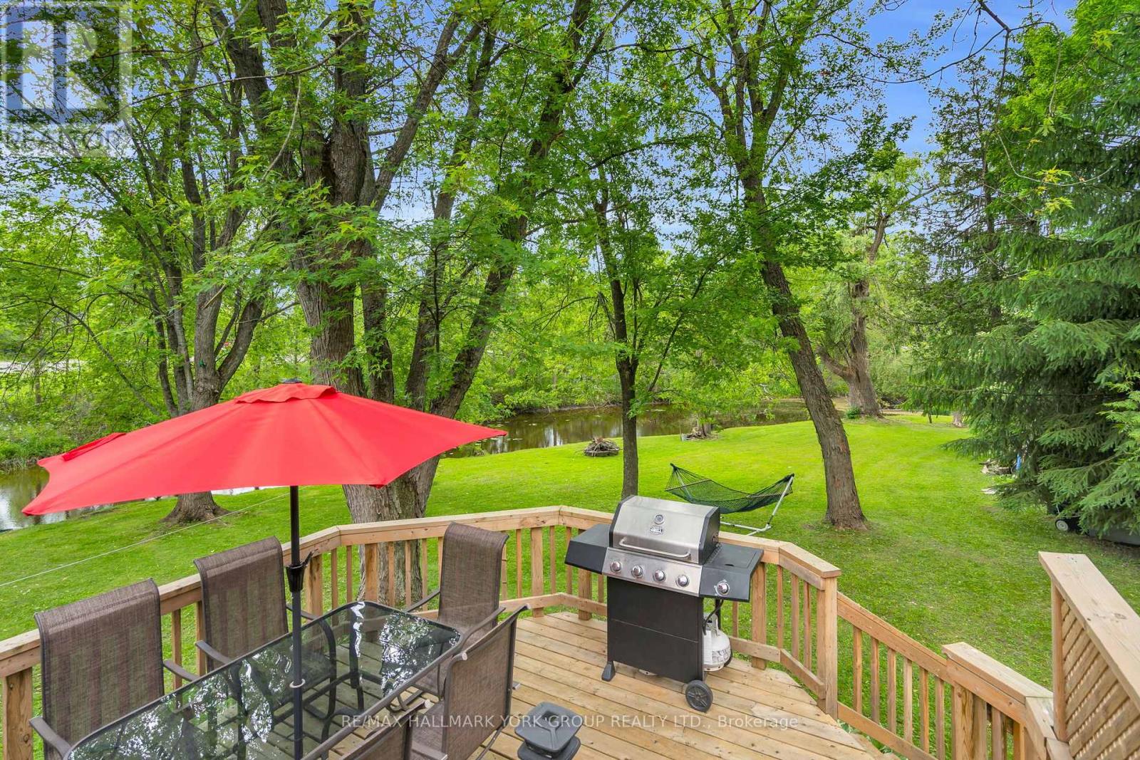 16 James Street, Georgina, Ontario  L0E 1N0 - Photo 34 - N12212983