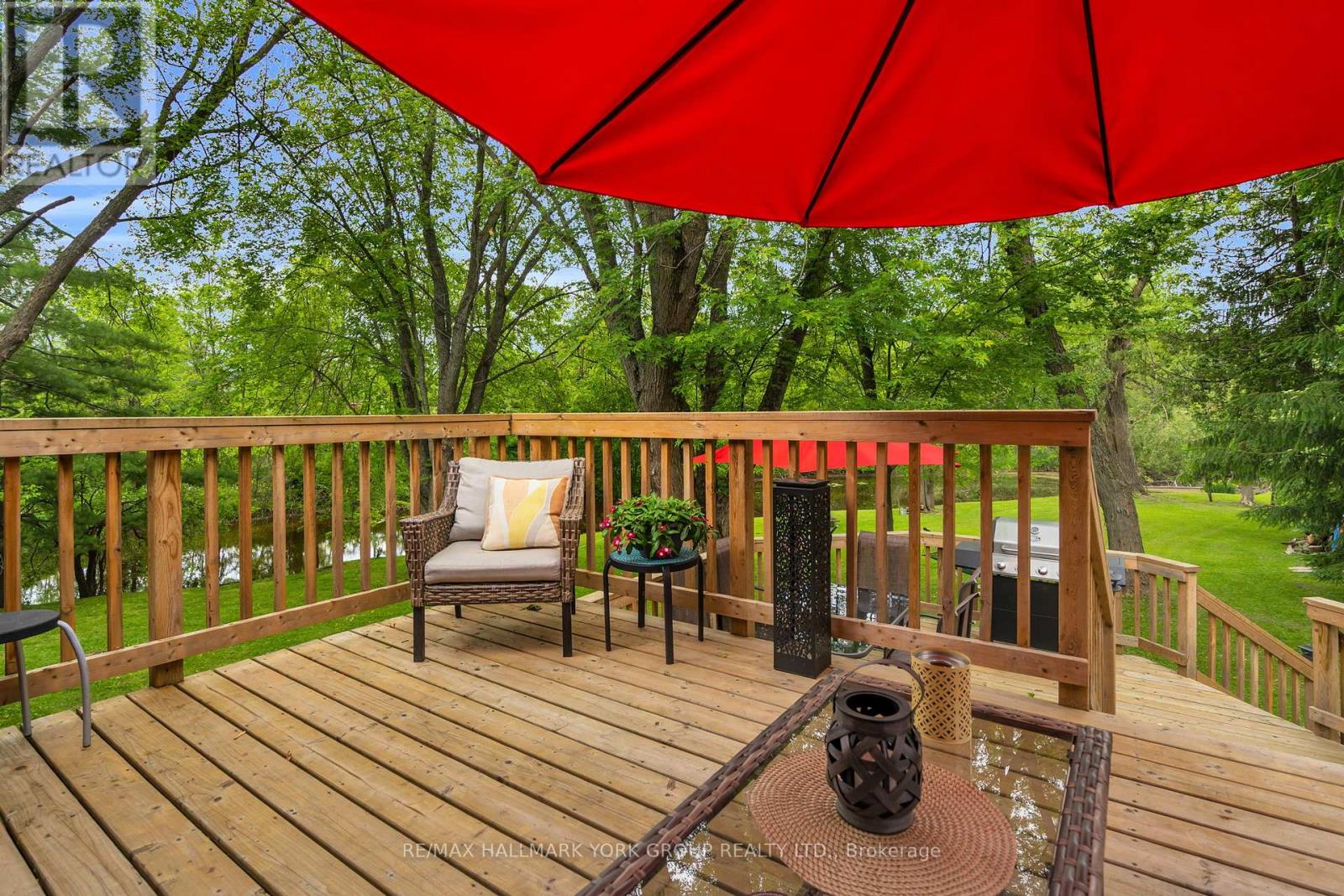 16 James Street, Georgina, Ontario  L0E 1N0 - Photo 37 - N12212983