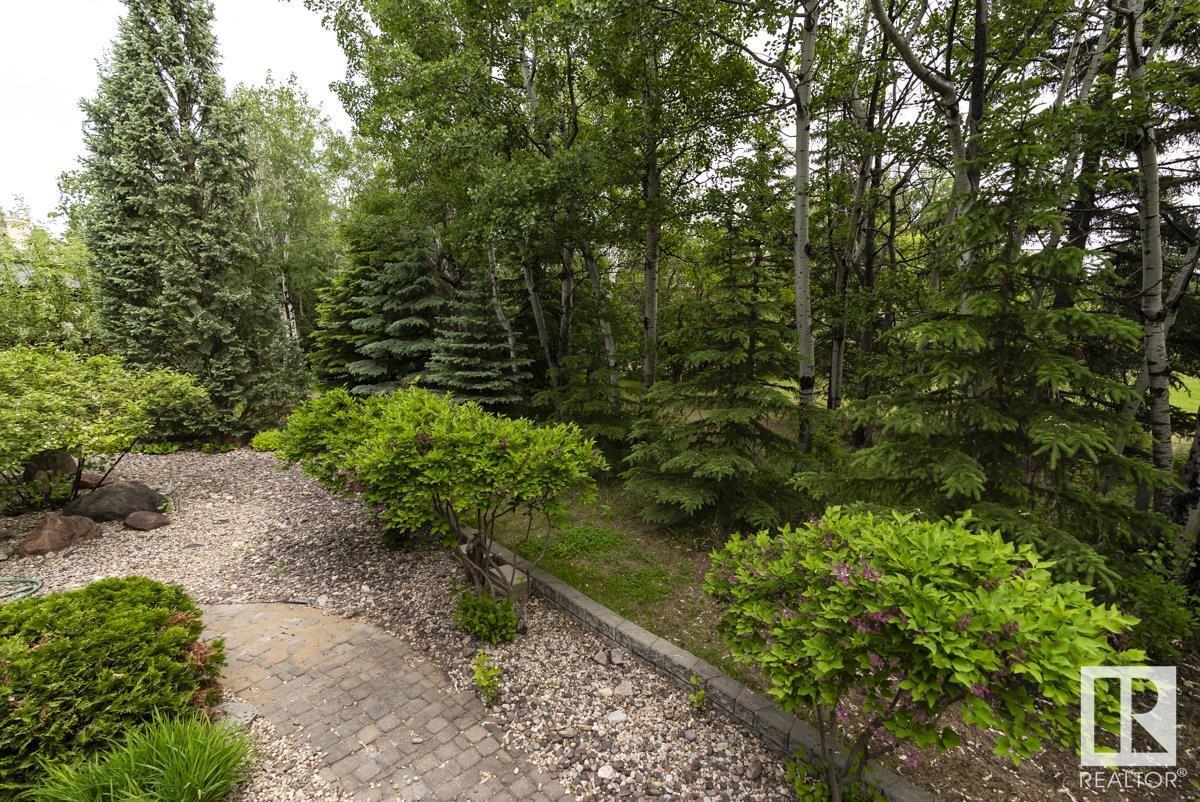 244 Wolf Willow Rd Nw, Edmonton, Alberta  T5T 6N3 - Photo 58 - E4441692