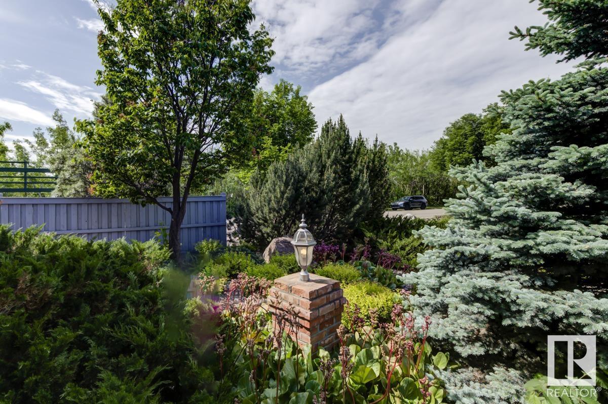 244 Wolf Willow Rd Nw, Edmonton, Alberta  T5T 6N3 - Photo 59 - E4441692