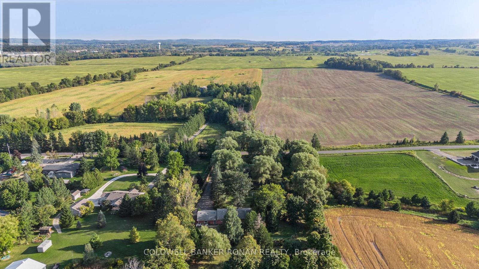 7020 6th Line, New Tecumseth (Tottenham), Ontario  L0G 1W0 - Photo 25 - N12212770