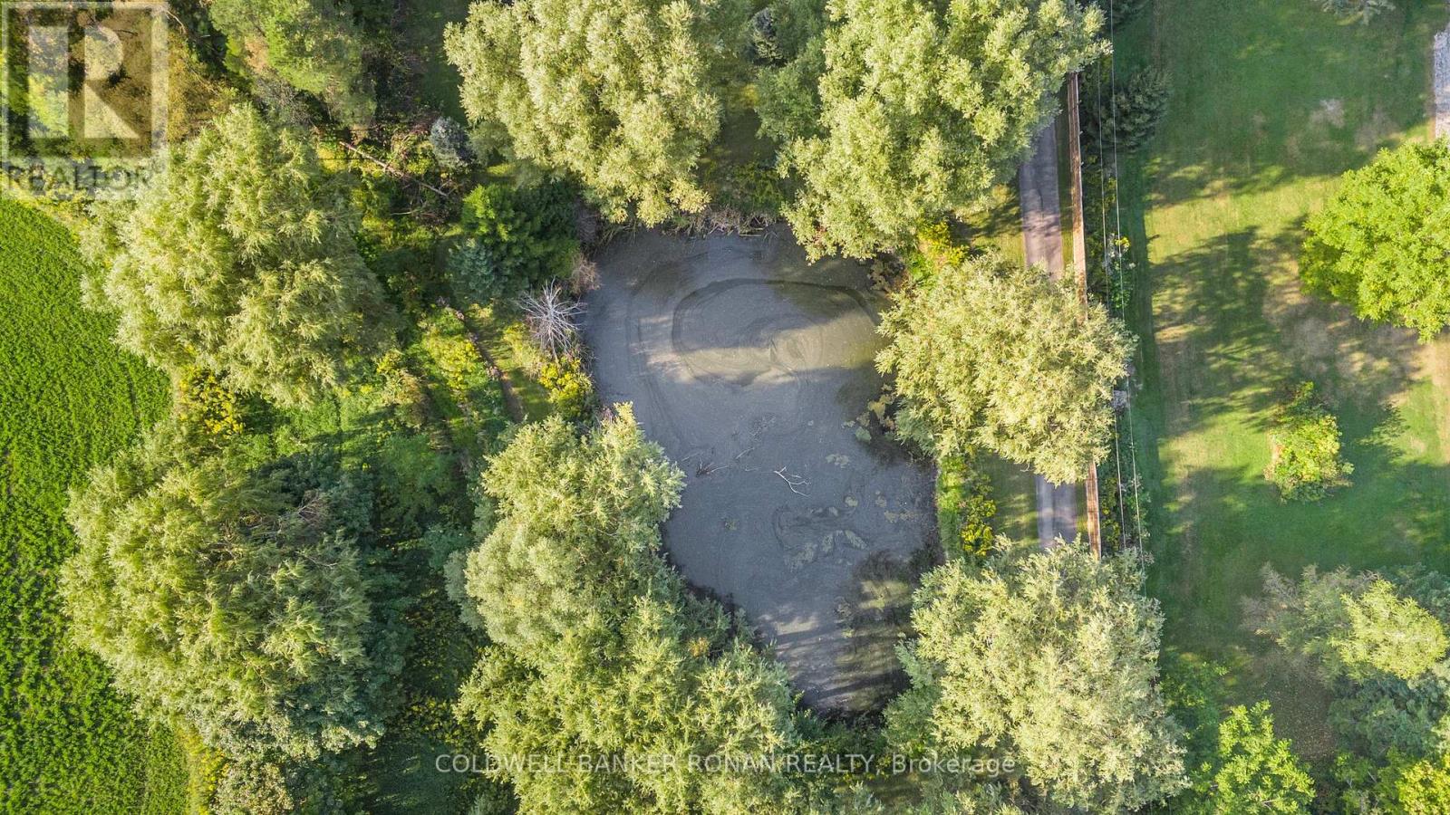 7020 6th Line, New Tecumseth (Tottenham), Ontario  L0G 1W0 - Photo 26 - N12212770