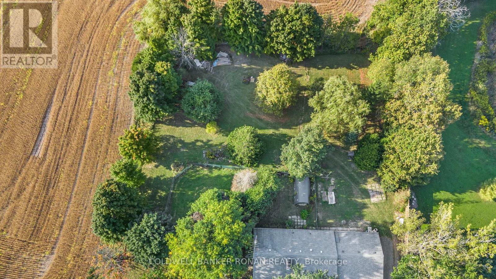 7020 6th Line, New Tecumseth (Tottenham), Ontario  L0G 1W0 - Photo 33 - N12212770