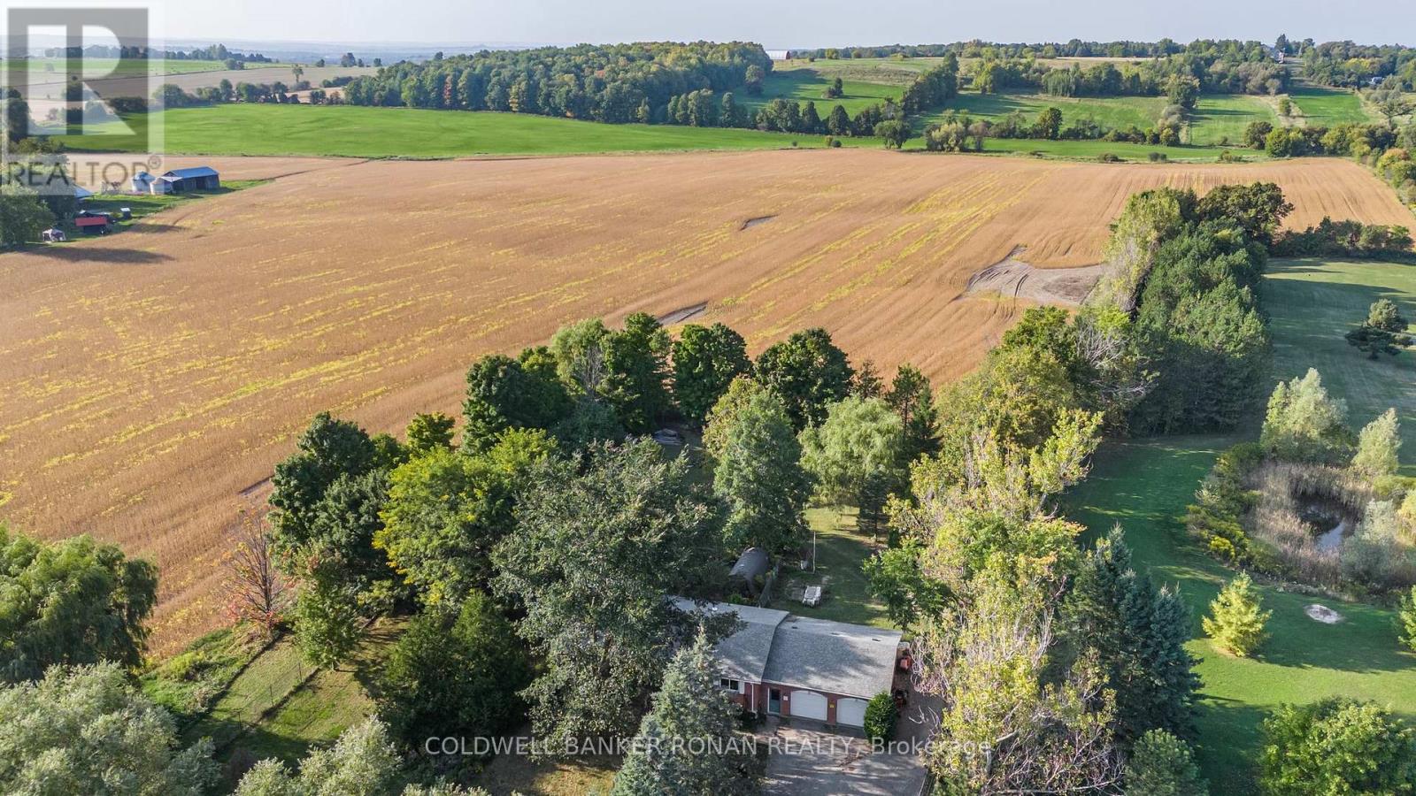 7020 6th Line, New Tecumseth (Tottenham), Ontario  L0G 1W0 - Photo 27 - N12212770