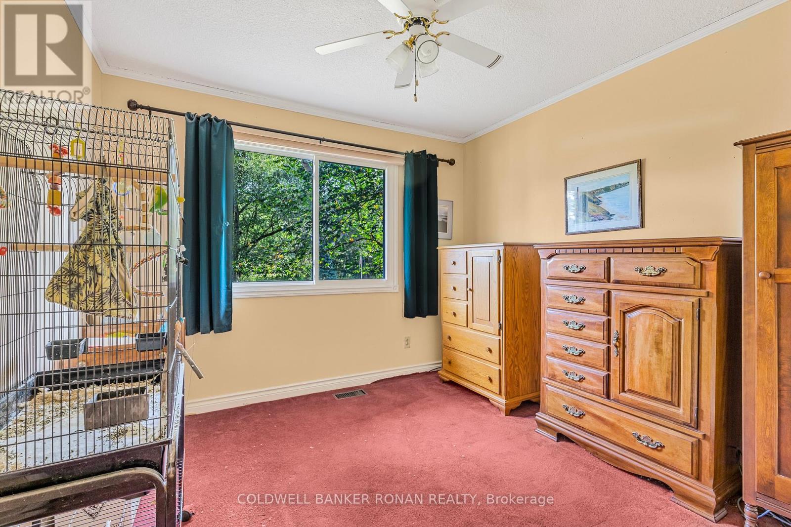 7020 6th Line, New Tecumseth (Tottenham), Ontario  L0G 1W0 - Photo 15 - N12212770