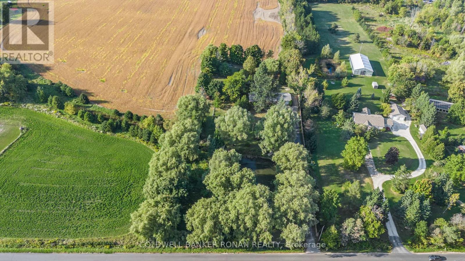 7020 6th Line, New Tecumseth (Tottenham), Ontario  L0G 1W0 - Photo 23 - N12212770