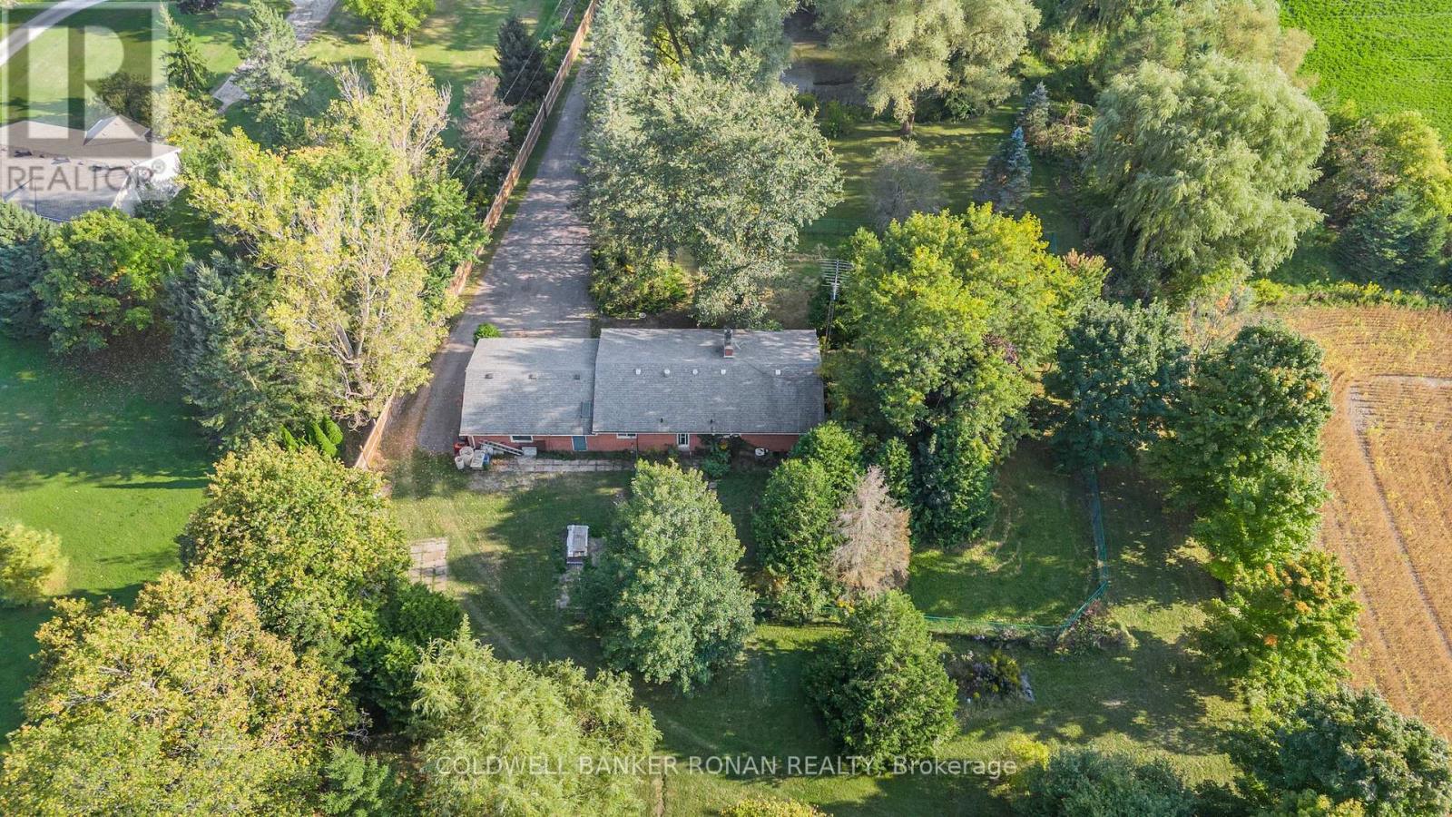 7020 6th Line, New Tecumseth (Tottenham), Ontario  L0G 1W0 - Photo 24 - N12212770