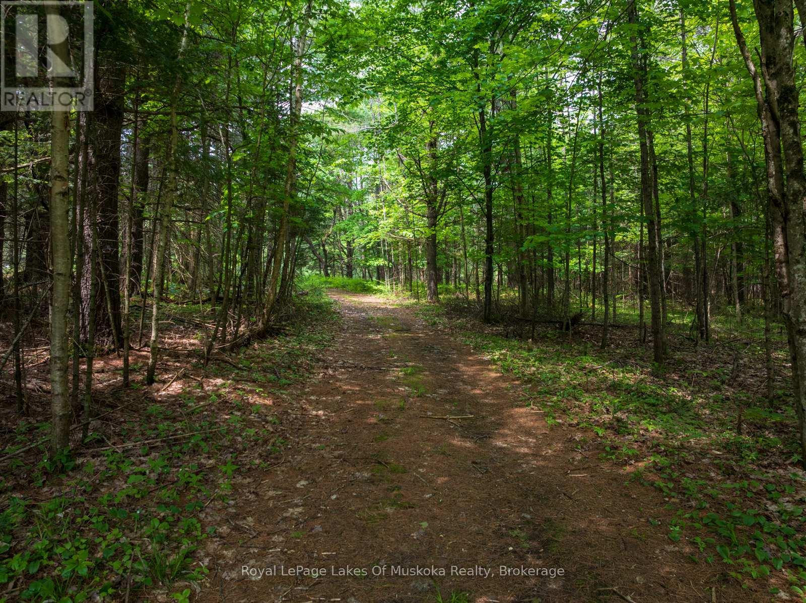 1216 Ravenscliffe Road, Huntsville, Ontario P1H 2N5 - Photo 6 - X12213172