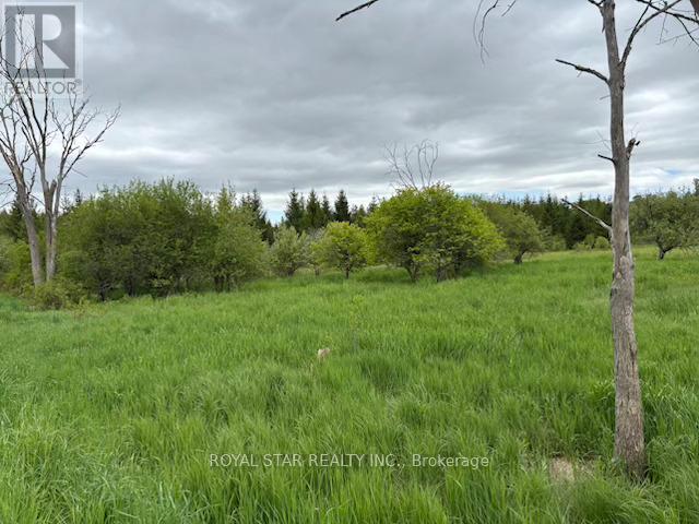 104264 Grey Road 18, Meaford, Ontario  N0H 1E0 - Photo 10 - X12212963