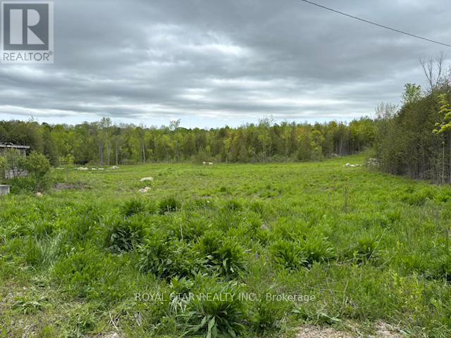 104264 Grey Road 18, Meaford, Ontario  N0H 1E0 - Photo 13 - X12212963