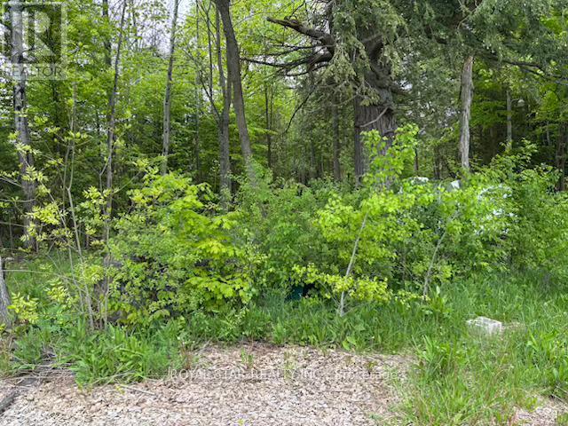 104264 Grey Road 18, Meaford, Ontario  N0H 1E0 - Photo 14 - X12212963