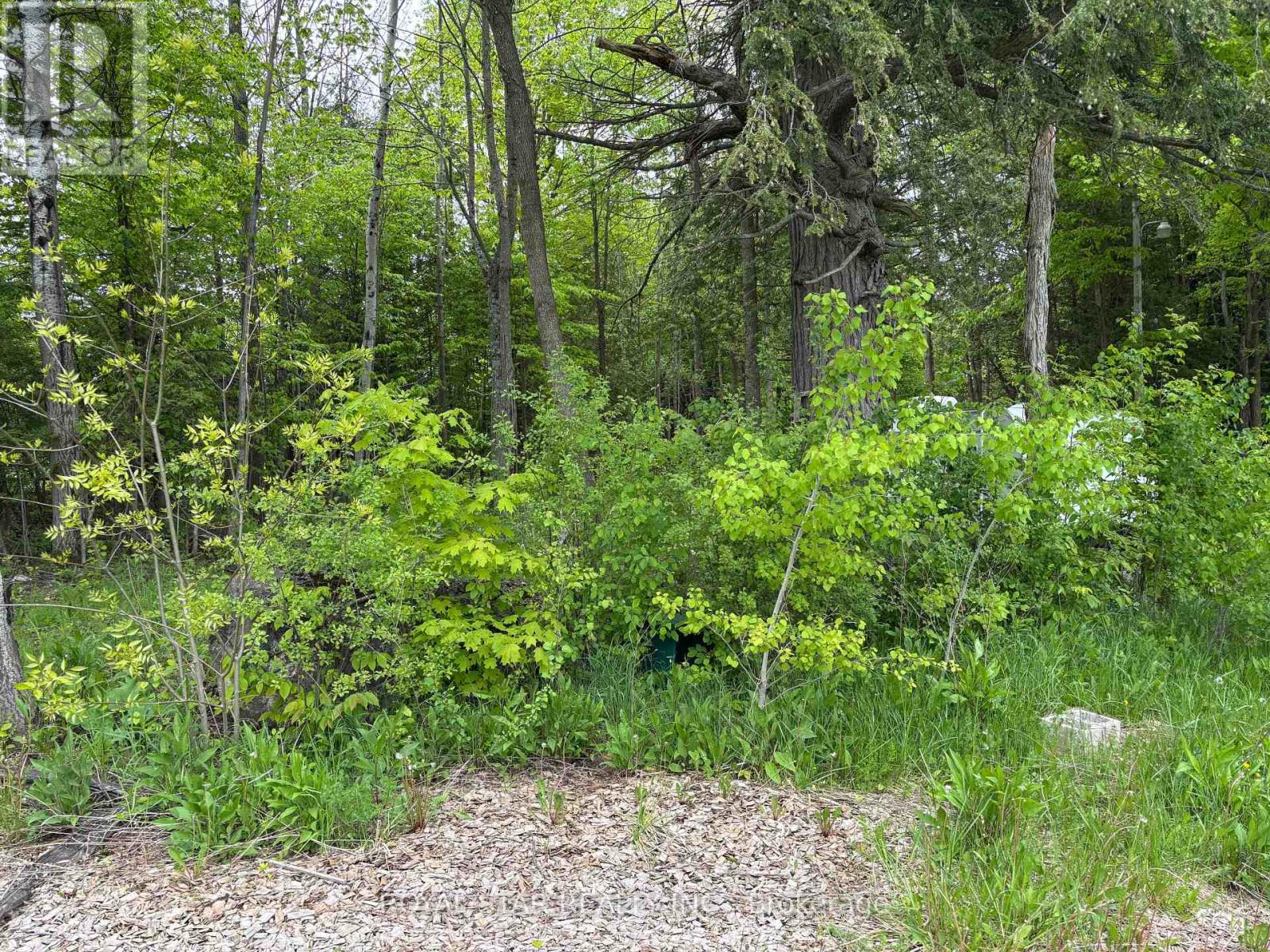 104264 Grey Road 18, Meaford, Ontario  N0H 1E0 - Photo 3 - X12212963
