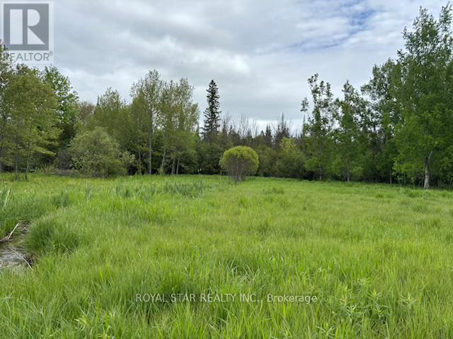 104264 Grey Road 18, Meaford, Ontario  N0H 1E0 - Photo 7 - X12212963