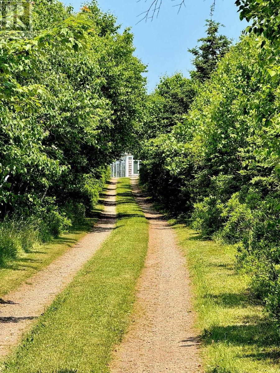 3589 Shore Road, Margaree Harbour, Nova Scotia  B0E 2B0 - Photo 39 - 202514116