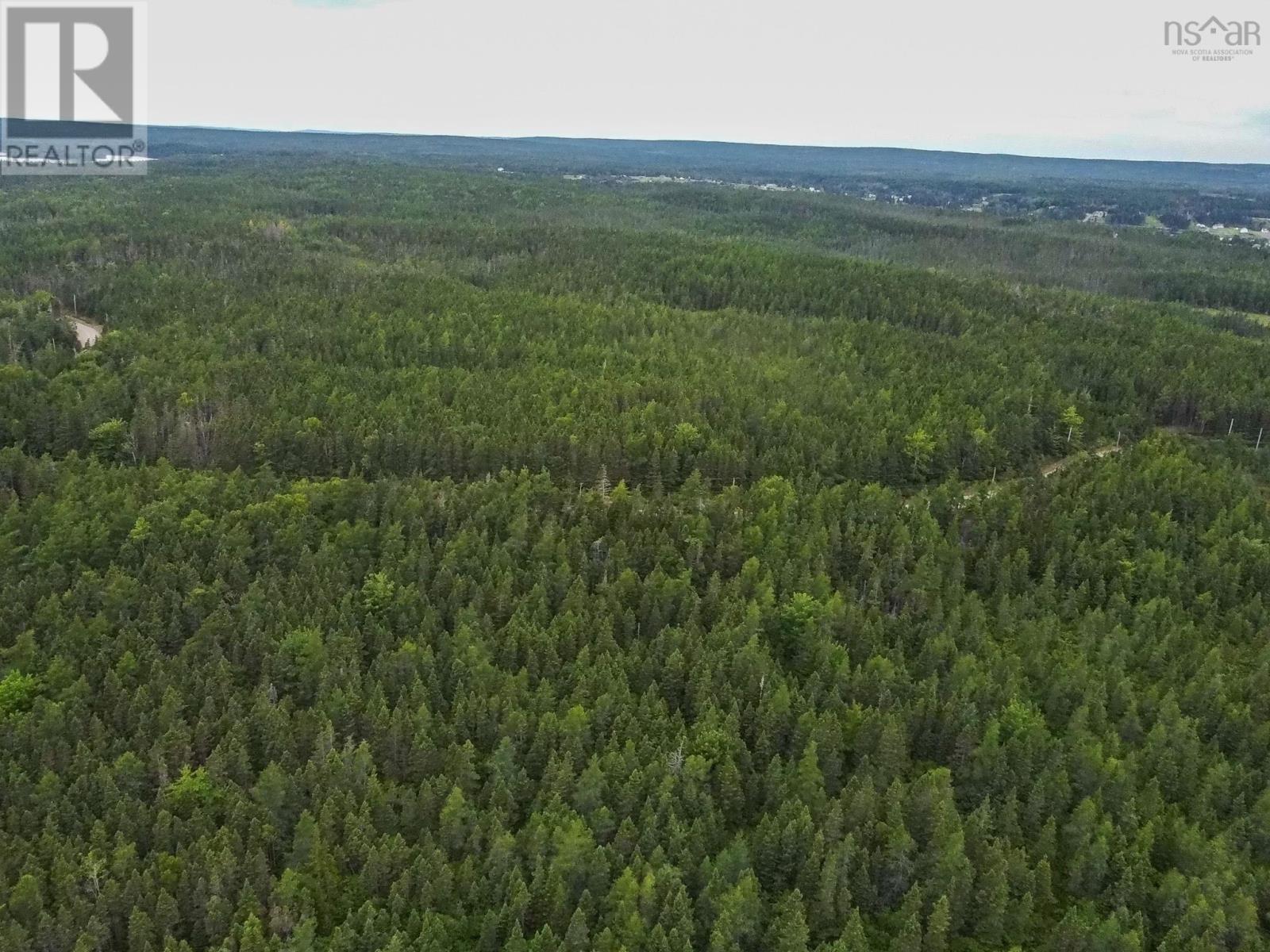 219 Richards Pond Road, River Bourgeois, Nova Scotia  B0E 2X0 - Photo 9 - 202514265