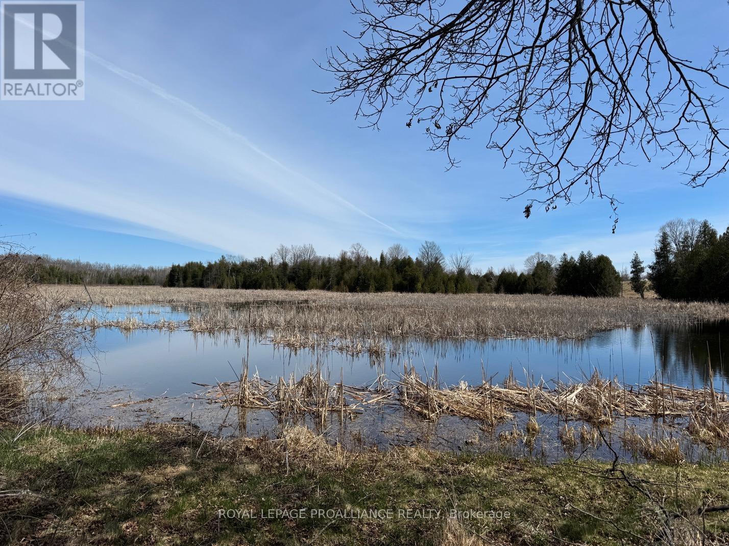 3085 Queensborough Road E, Madoc, Ontario K0K 2K0 - Photo 6 - X12122132