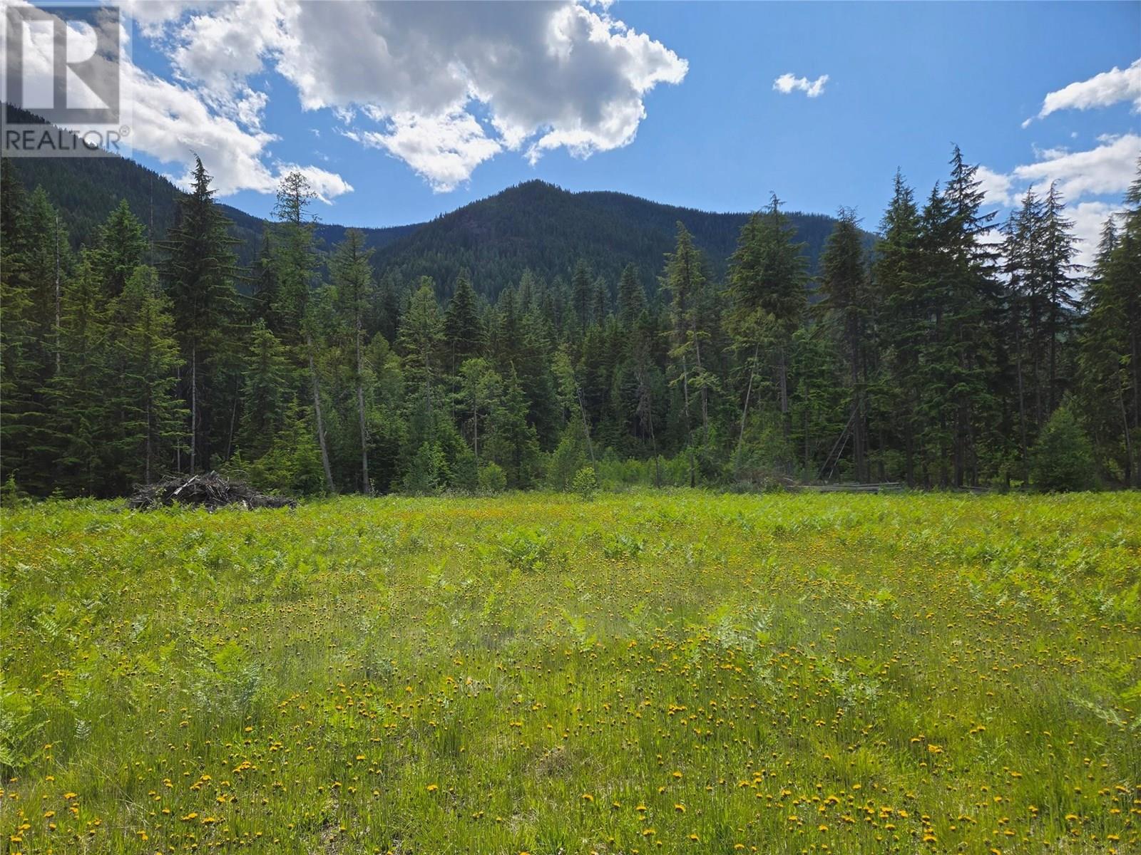 3809 PASSMORE UPPER Road, Passmore, British Columbia