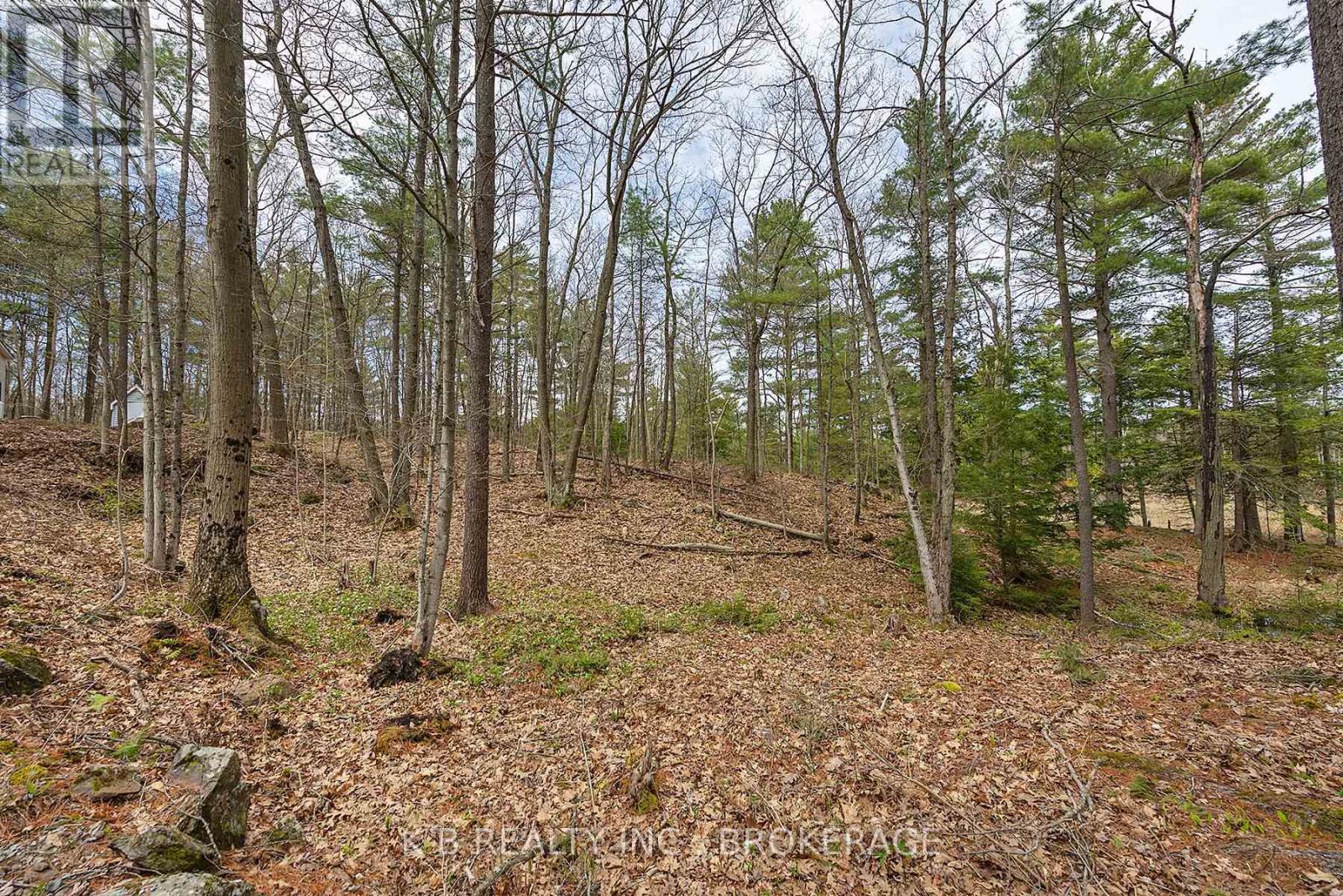 1035 Cozy Ridge Lane, Frontenac, Ontario  K0H 1W0 - Photo 41 - X12213338