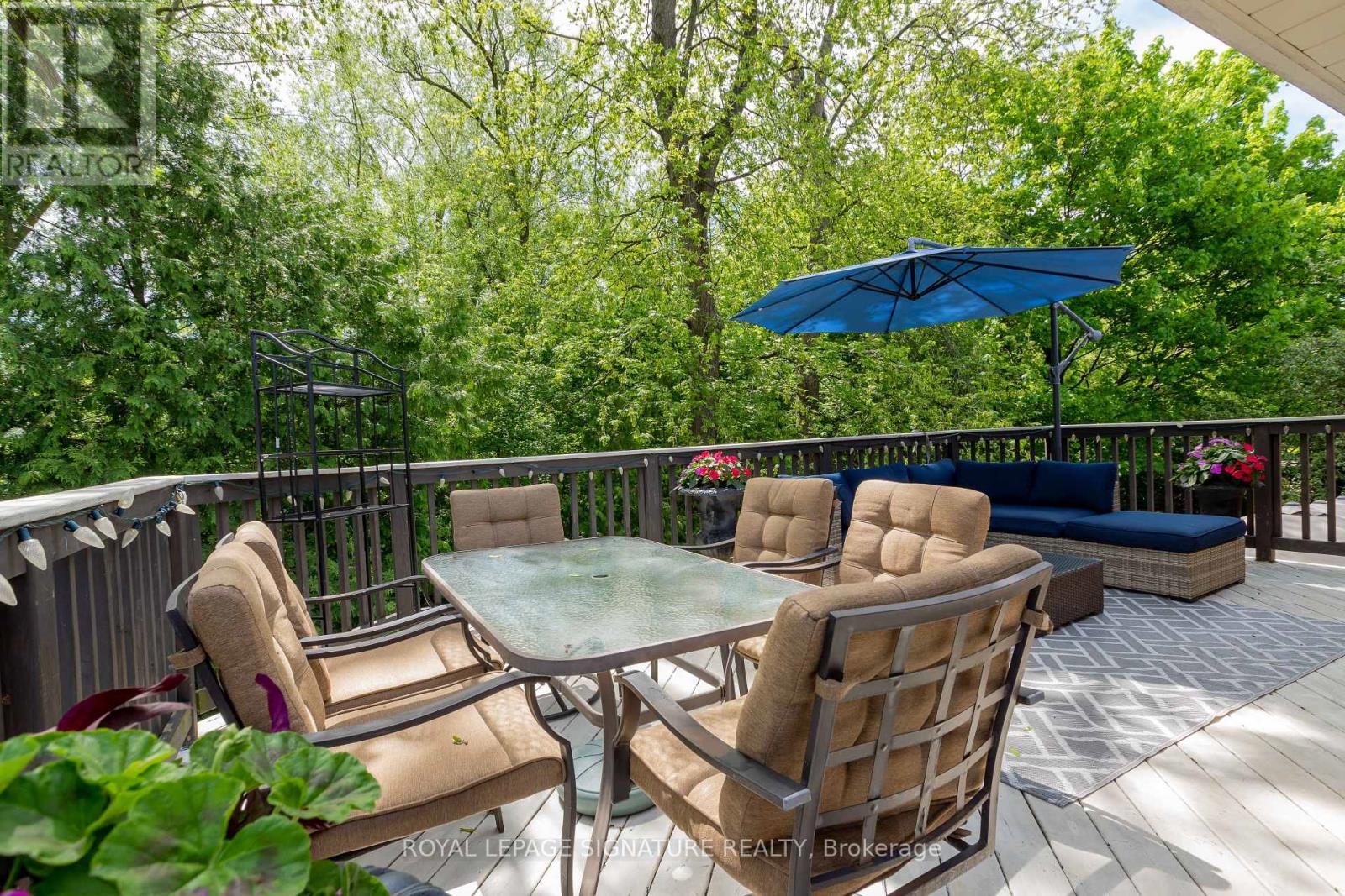 31 Norbert Crescent, Toronto, Ontario  M9C 3J8 - Photo 19 - W12213038