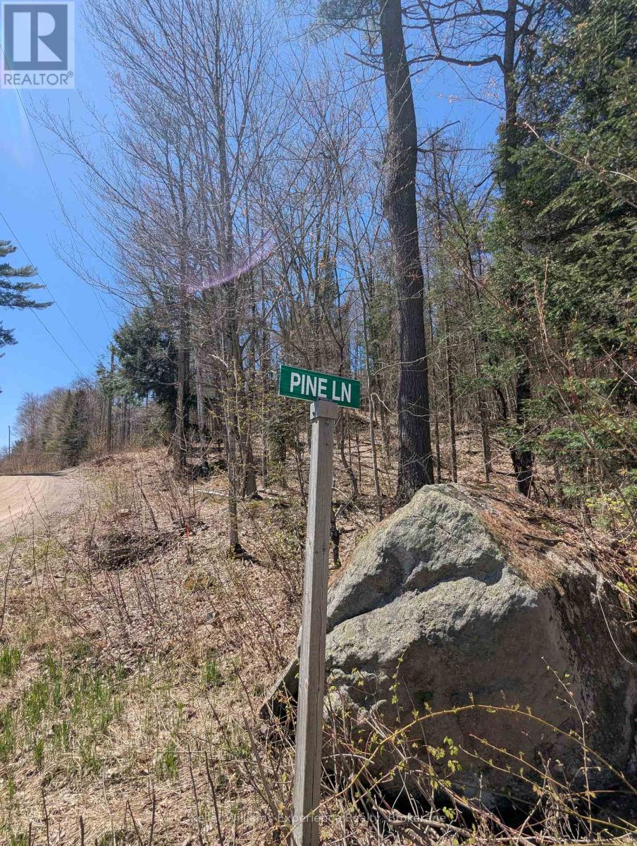 0 N Pine Drive, Lake Of Bays, Ontario  P0B 1A0 - Photo 10 - X12154023