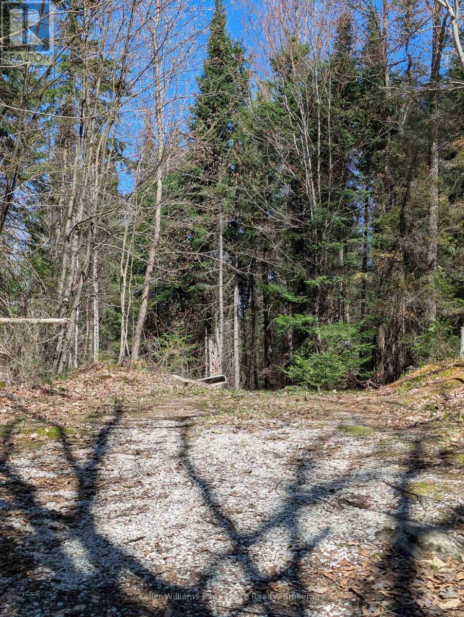 0 N Pine Drive, Lake Of Bays, Ontario  P0B 1A0 - Photo 12 - X12154023