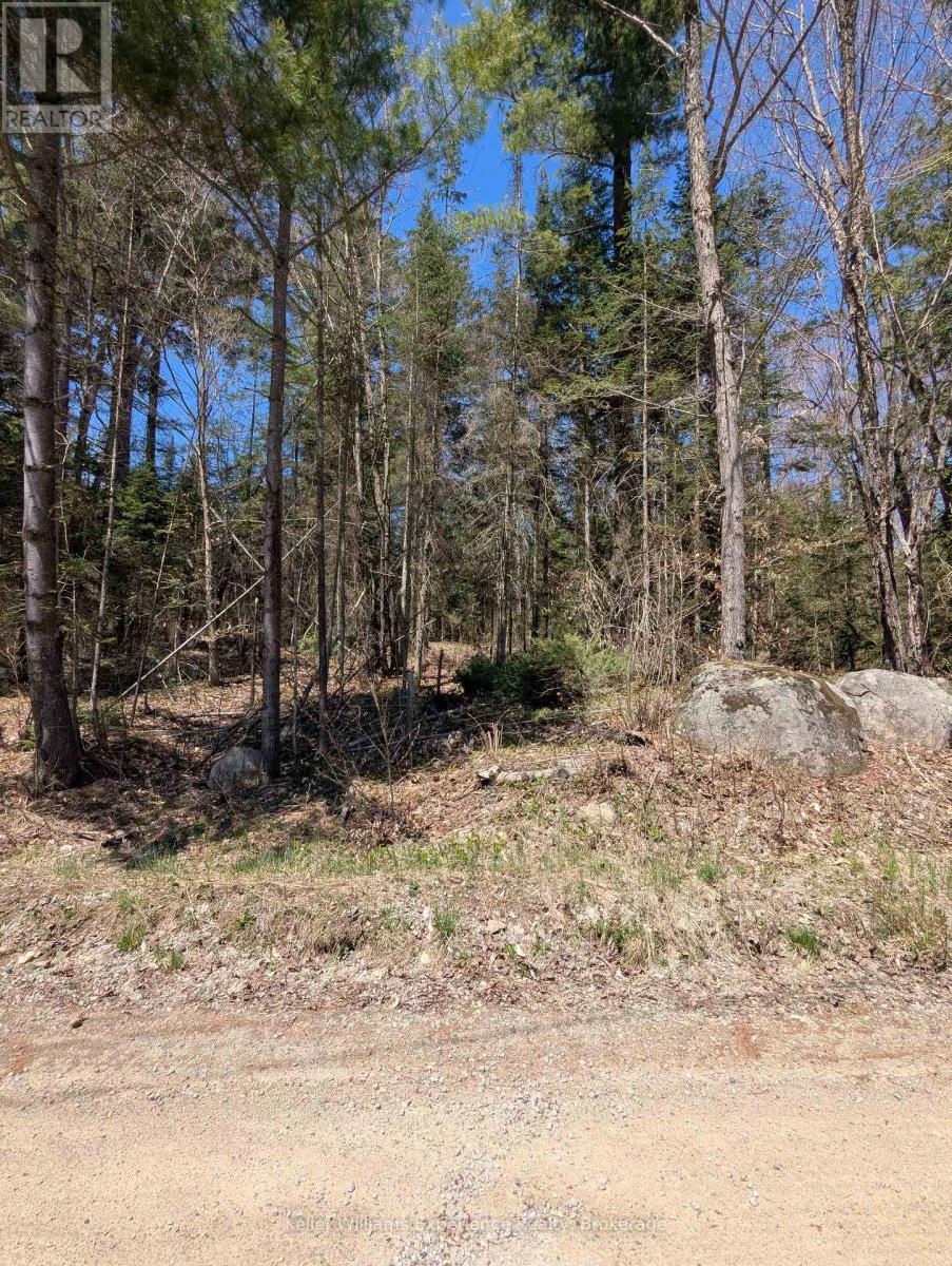 0 N Pine Drive, Lake Of Bays, Ontario  P0B 1A0 - Photo 17 - X12154023