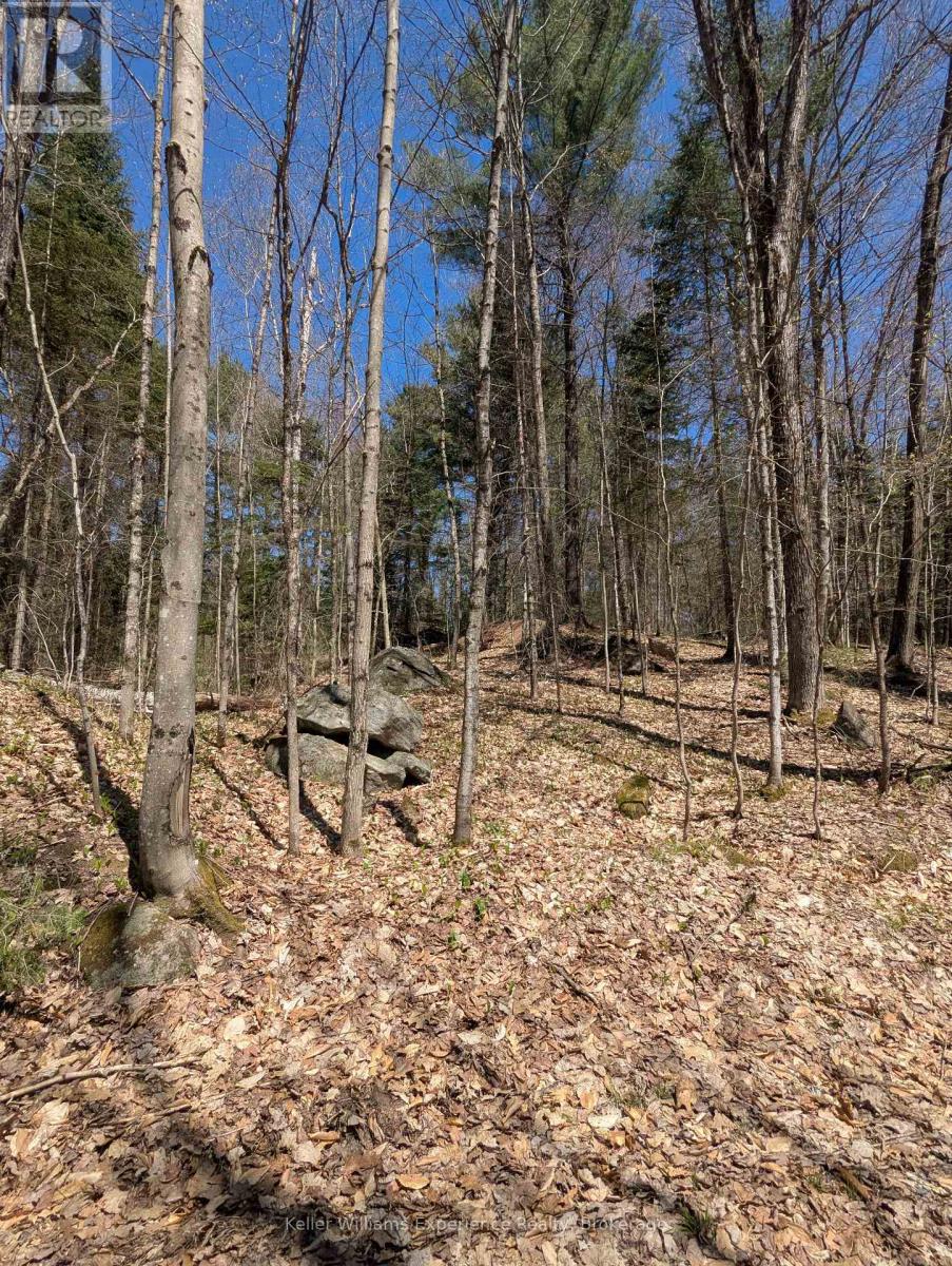 0 N Pine Drive, Lake Of Bays, Ontario  P0B 1A0 - Photo 16 - X12154023