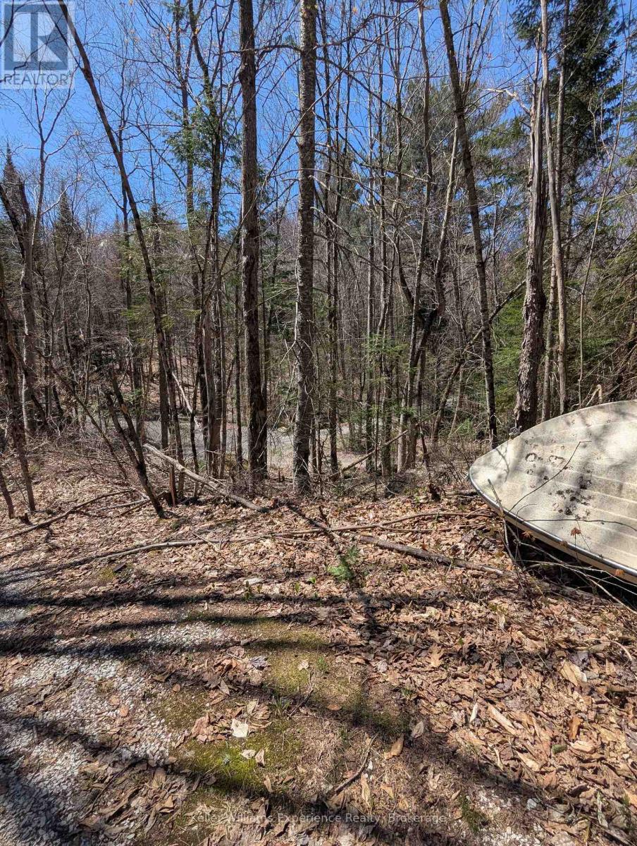 0 N Pine Drive, Lake Of Bays, Ontario  P0B 1A0 - Photo 11 - X12154023