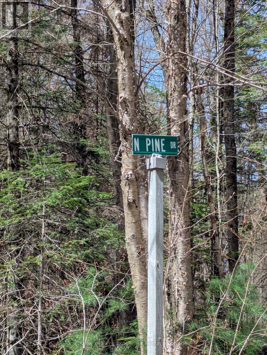 0 N Pine Drive, Lake Of Bays, Ontario  P0B 1A0 - Photo 2 - X12154023