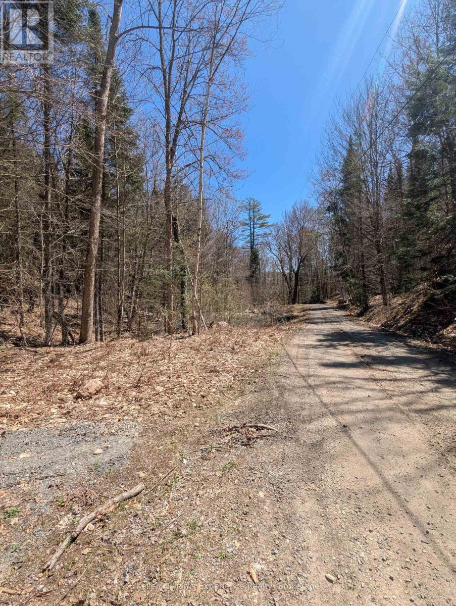 0 N Pine Drive, Lake Of Bays, Ontario  P0B 1A0 - Photo 15 - X12154023