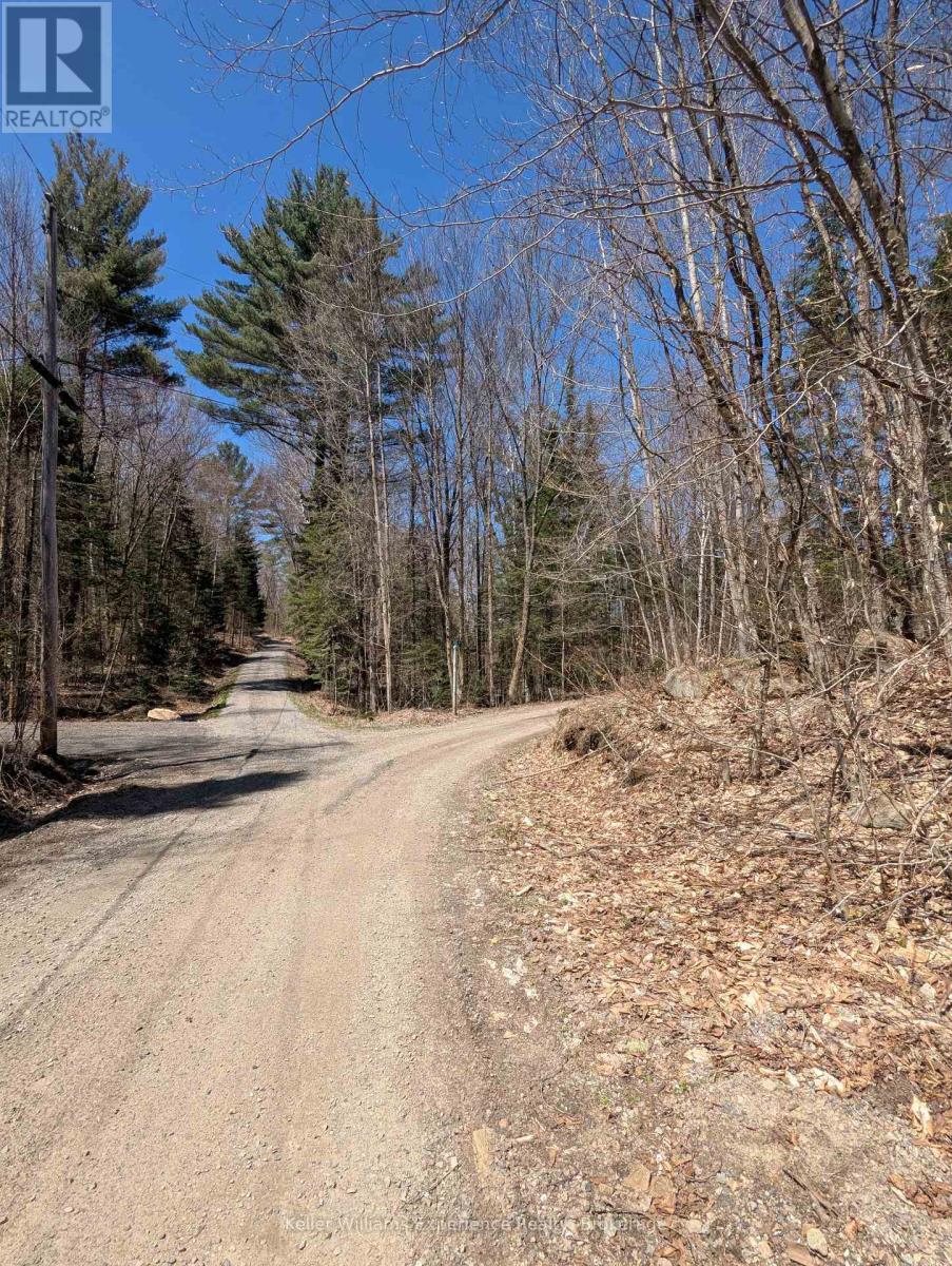 0 N Pine Drive, Lake Of Bays, Ontario  P0B 1A0 - Photo 9 - X12154023