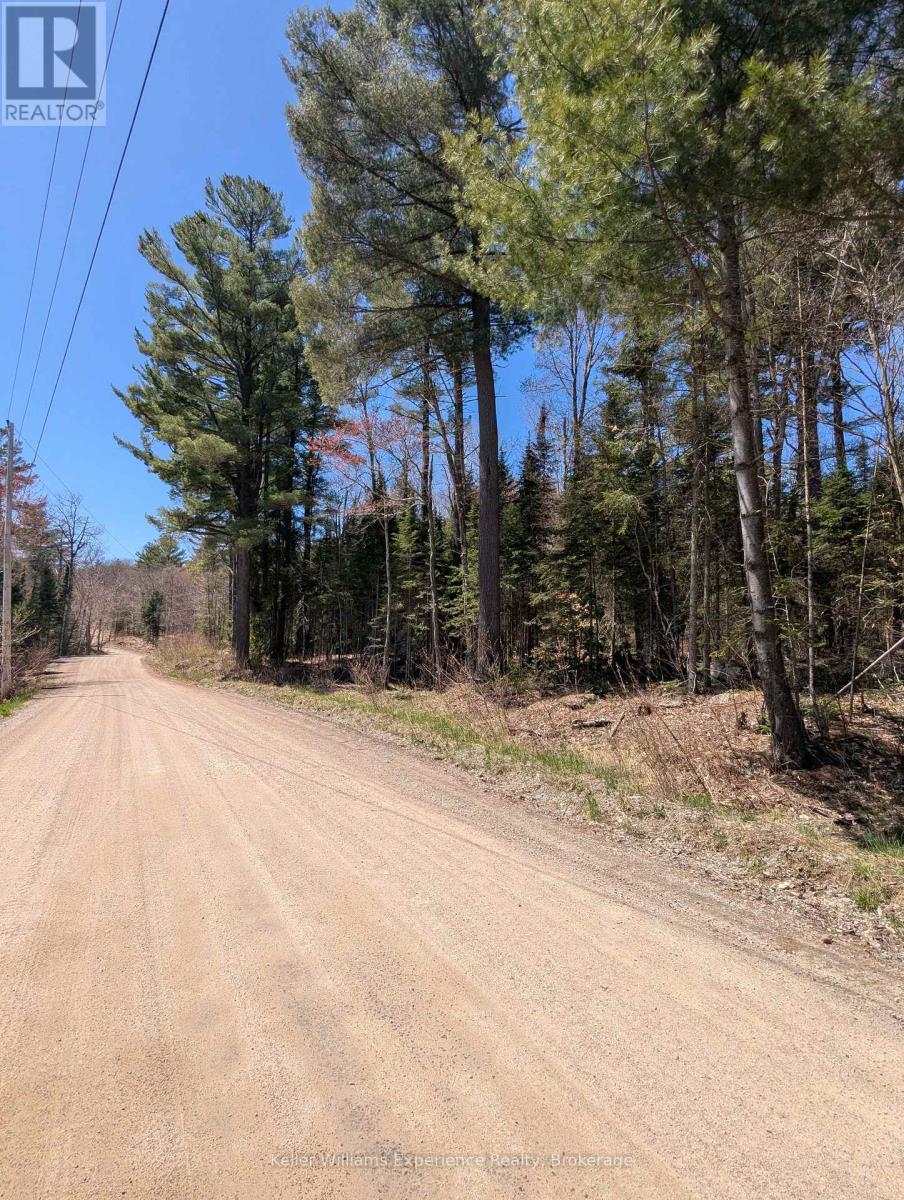0 N Pine Drive, Lake Of Bays, Ontario  P0B 1A0 - Photo 5 - X12154023