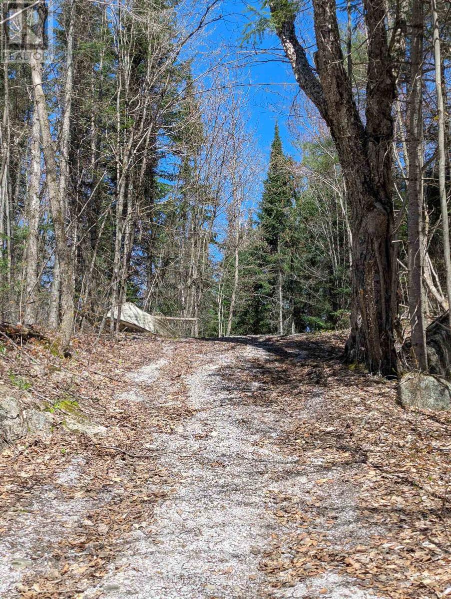 0 N Pine Drive, Lake Of Bays, Ontario  P0B 1A0 - Photo 14 - X12154023