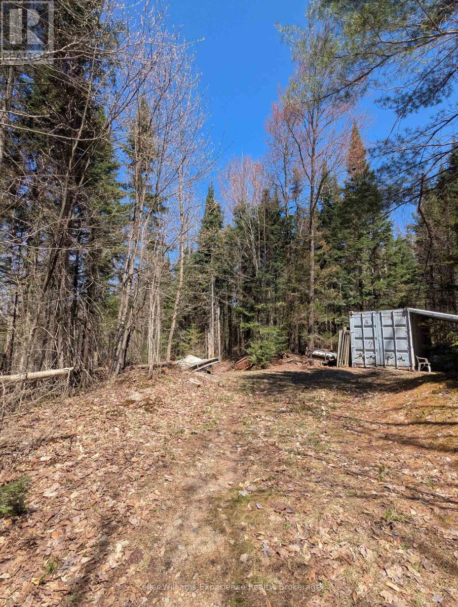 0 N Pine Drive, Lake Of Bays, Ontario  P0B 1A0 - Photo 13 - X12154023