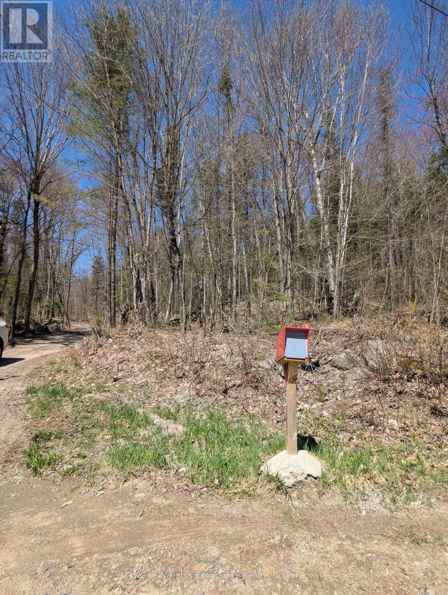 0 N Pine Drive, Lake Of Bays, Ontario  P0B 1A0 - Photo 3 - X12154023