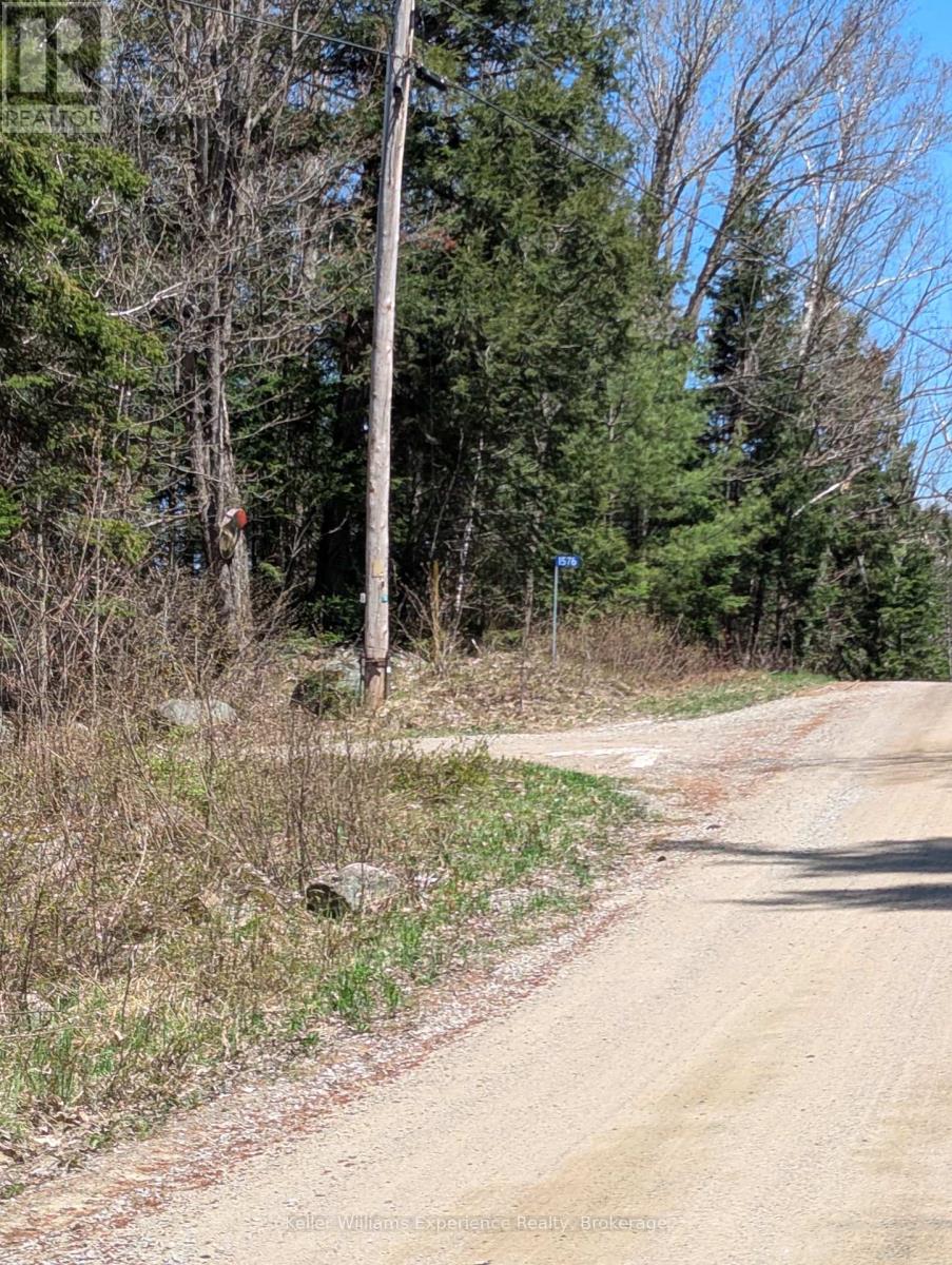 0 N Pine Drive, Lake Of Bays, Ontario  P0B 1A0 - Photo 6 - X12154023