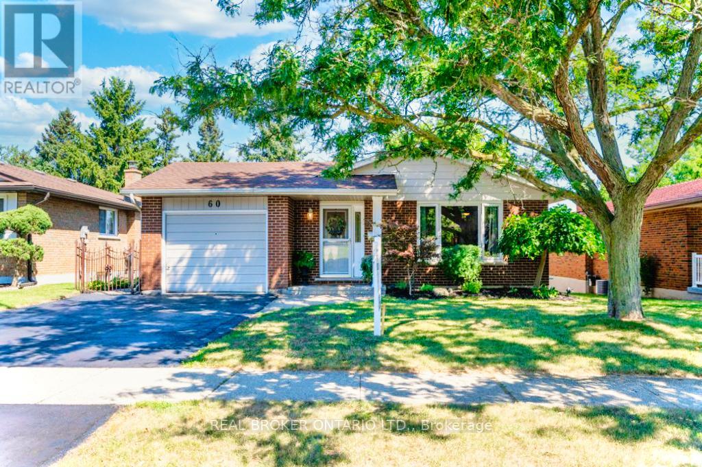 Lower - 60 Sandsprings Crescent, Kitchener, Ontario  N2E 2A6 - Photo 2 - X12213144