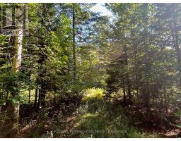 0 GATES ROAD, Dysart et al, Ontario