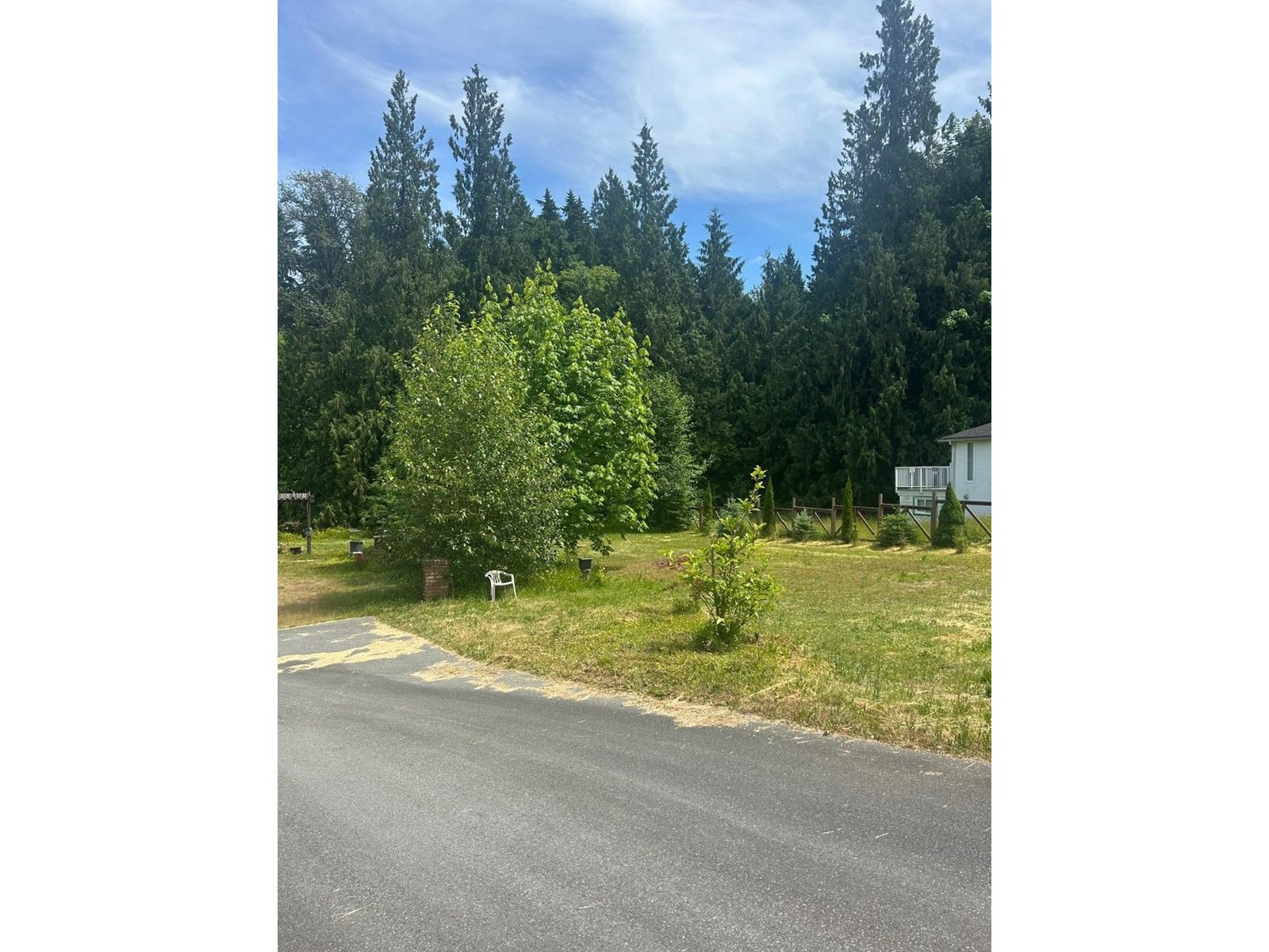 9860 160 Street, Surrey, British Columbia  V4N 2J4 - Photo 32 - R3014254
