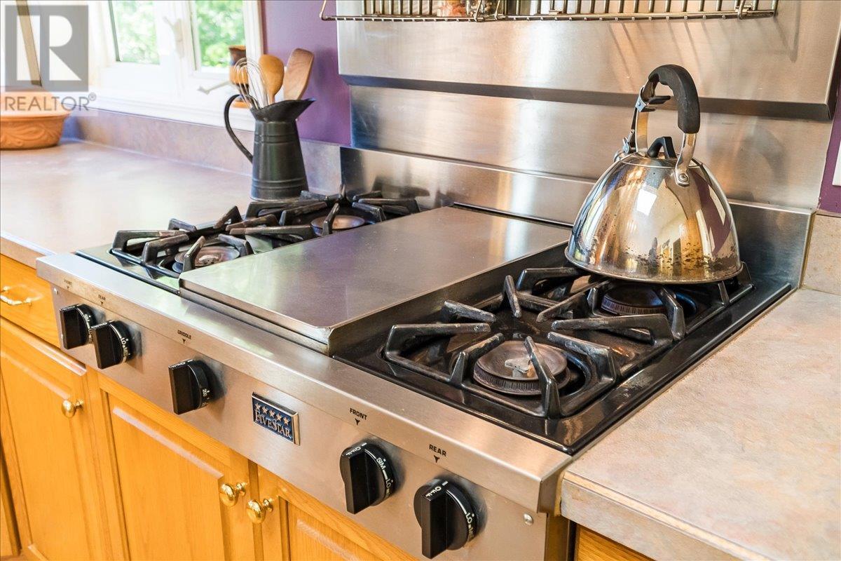 4399 Bird Creek Road, Nelson, British Columbia  V1L 6X2 - Photo 12 - 10350408
