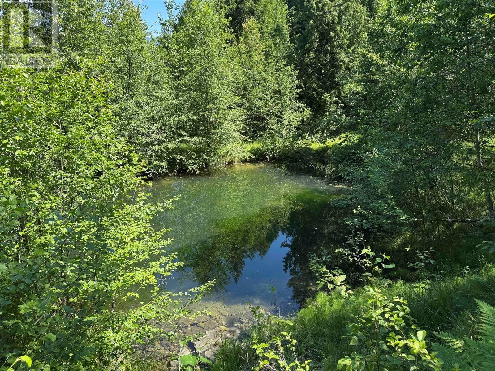 4399 Bird Creek Road, Nelson, British Columbia  V1L 6X2 - Photo 5 - 10350408